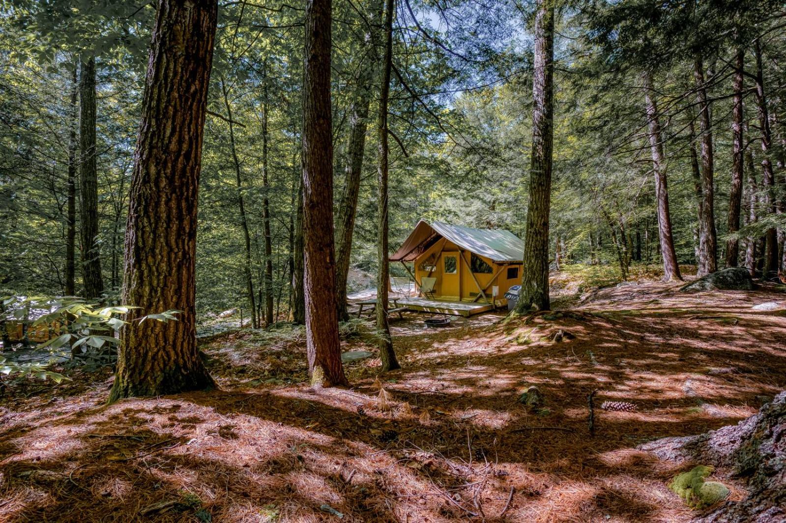 Huttopia White Mountains Albany Екстериор снимка