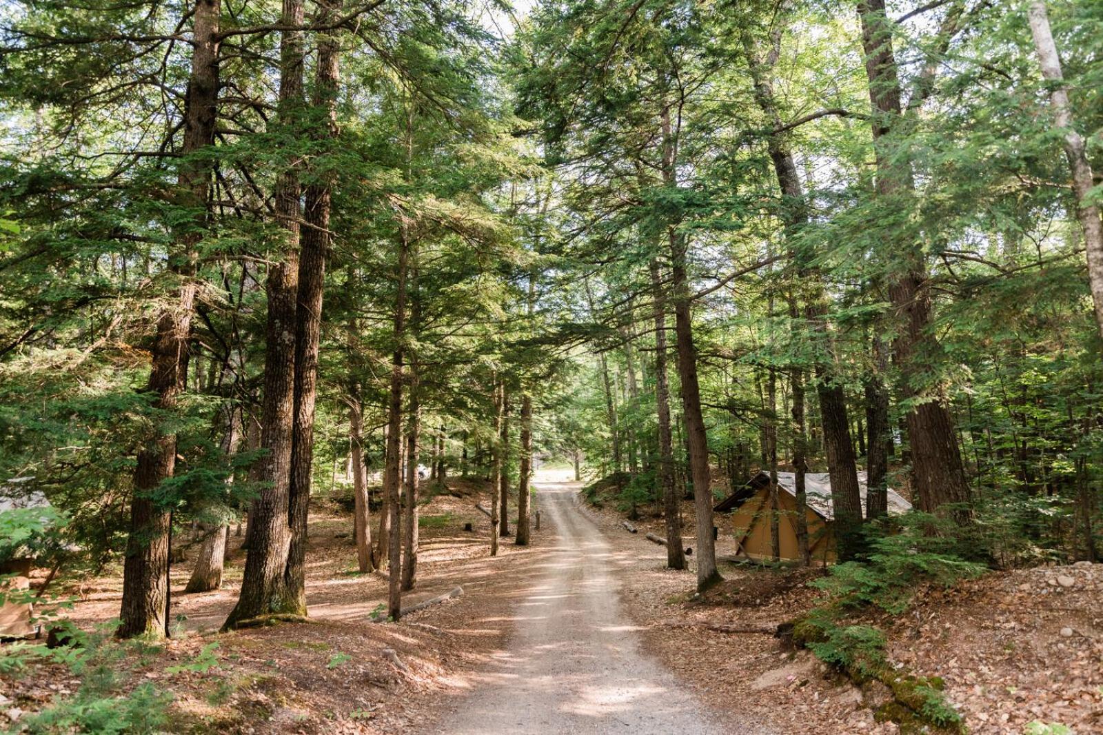 Huttopia White Mountains Albany Екстериор снимка